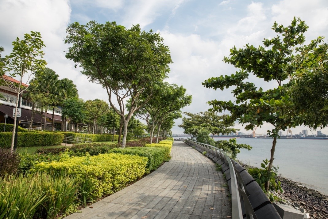 Explore the New Punggol Point District!