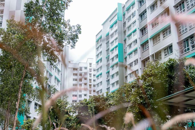 Woodlands pasture one of the newest precincts in Woodlands