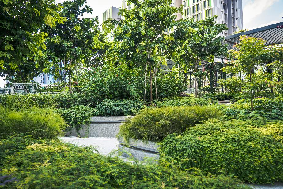 Rooftop gardens of Alkaff Lakeview