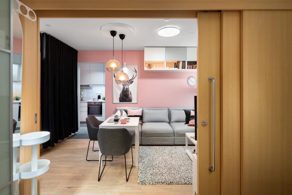 2-room flat with room divider