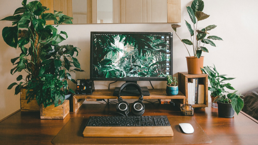 Read more about the article Going Green: Tips for Designing an Eco-Friendly Home